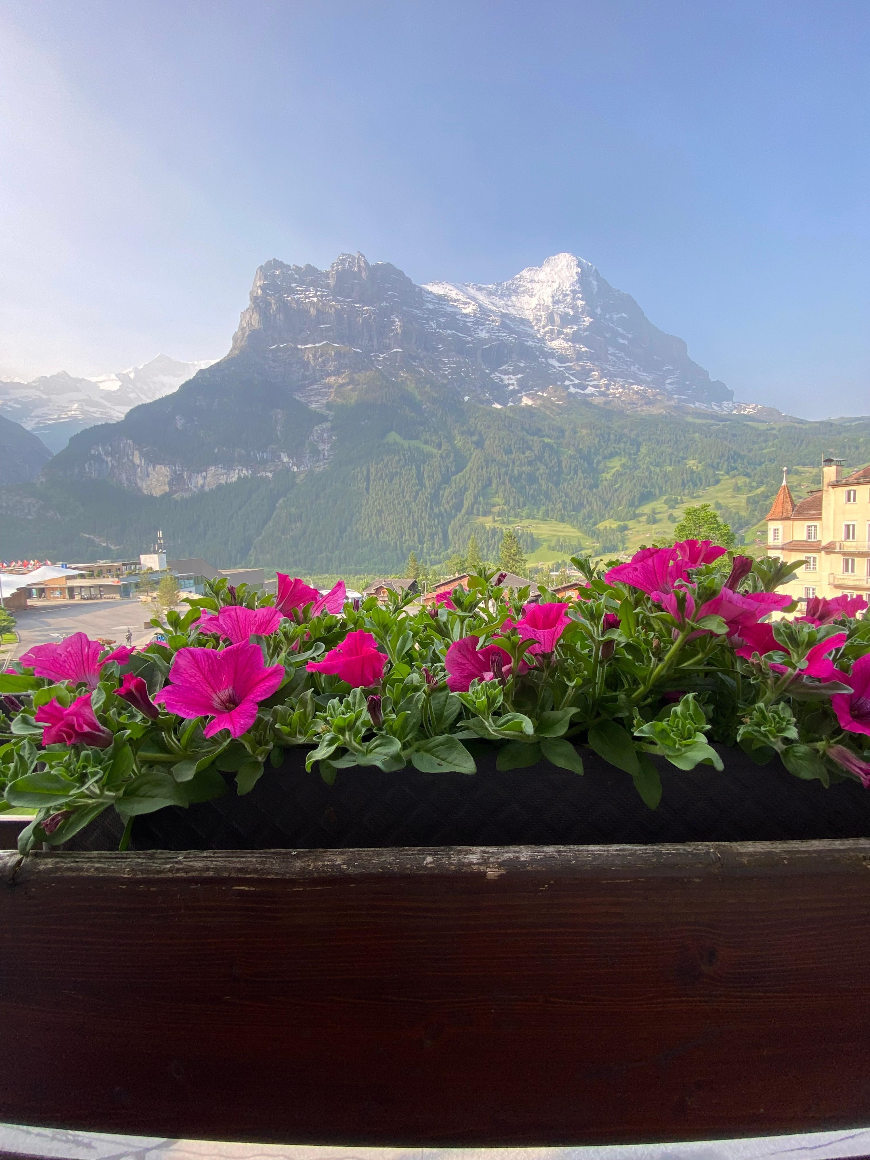 You can’t get better views!