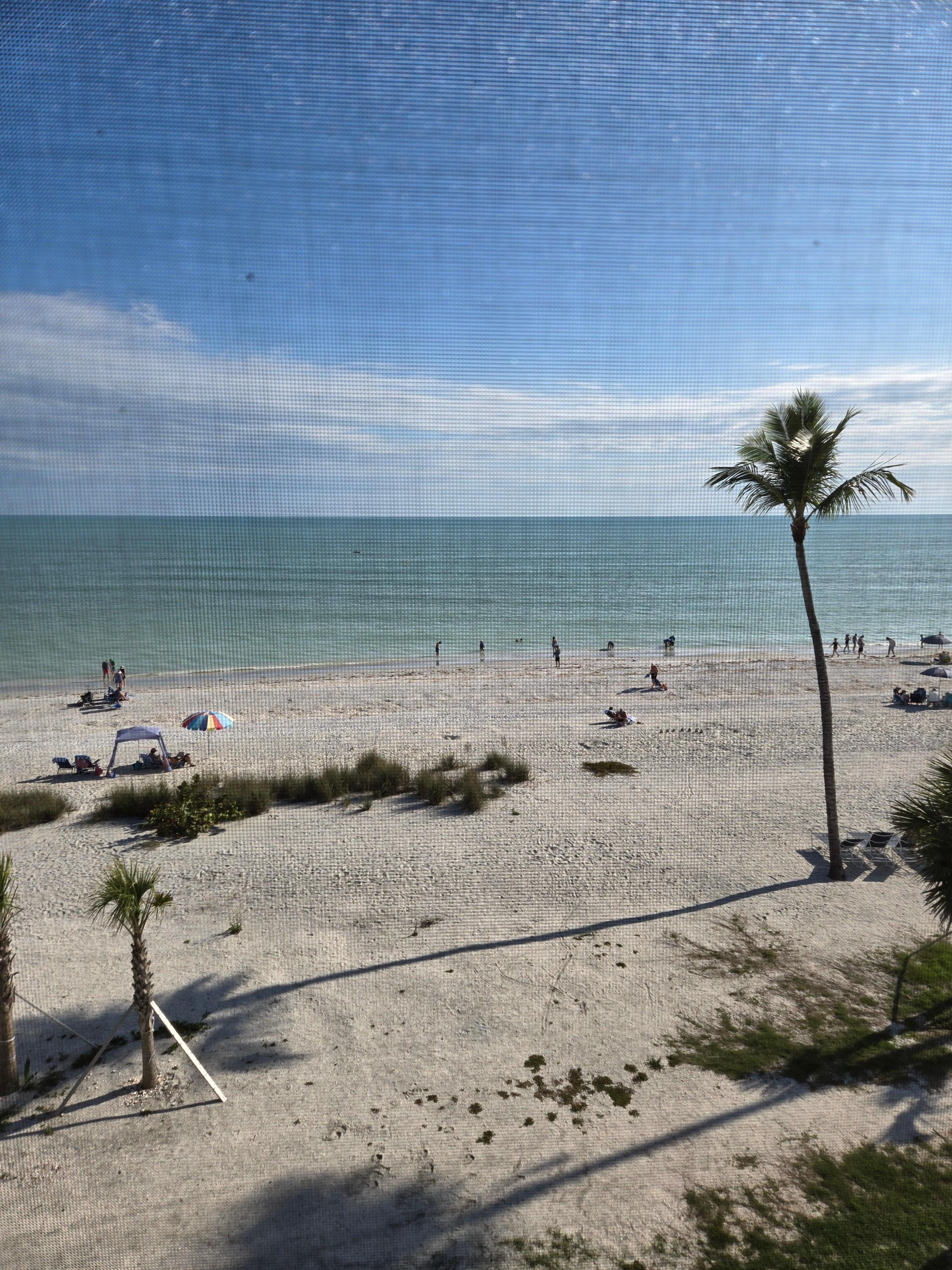 View from the screened in porch.