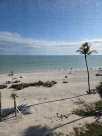 View from the screened in porch.