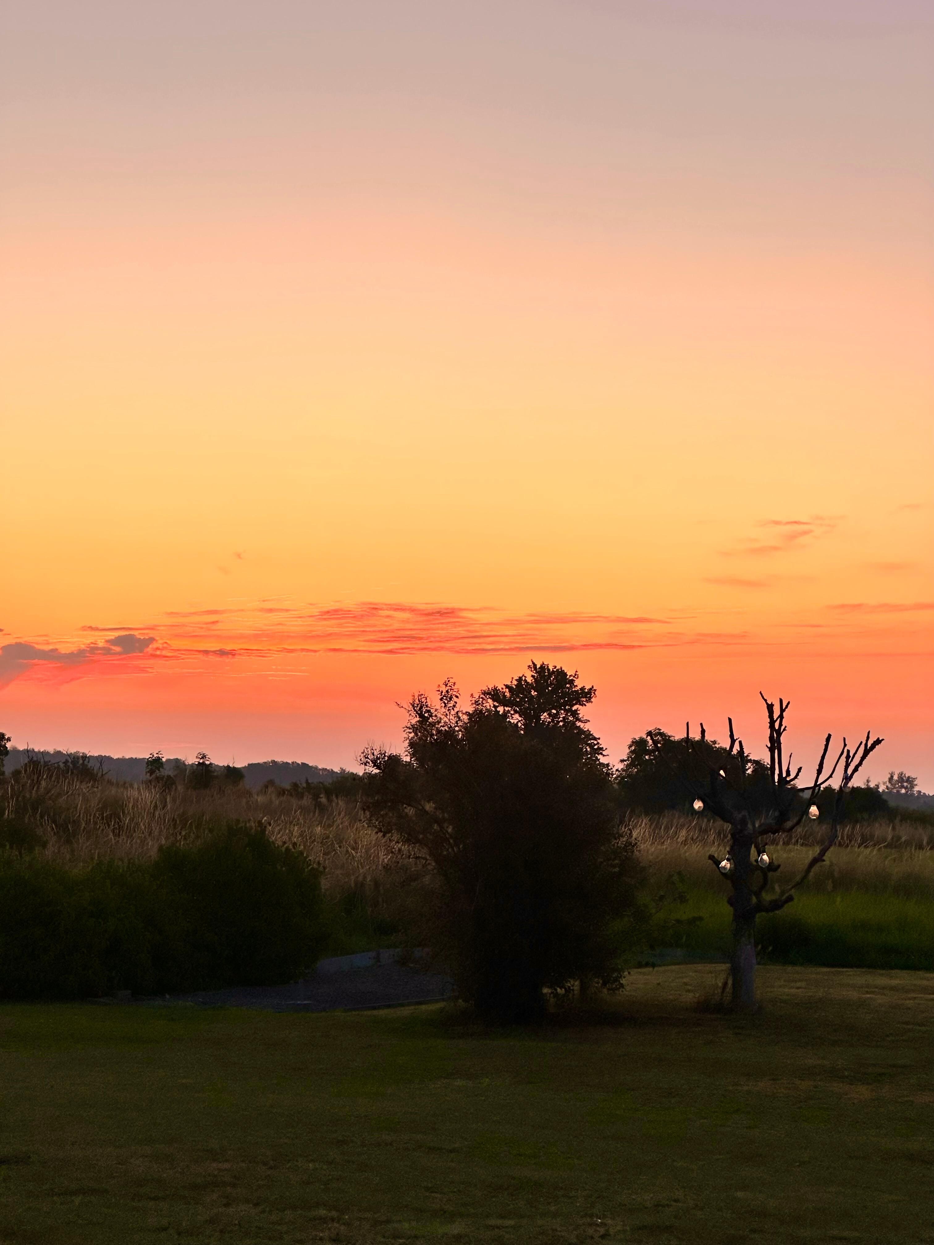 Soluppgång över fälten