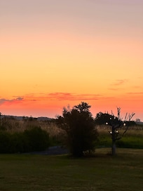 Soluppgång över fälten