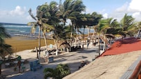15may2025 llego el sargazo