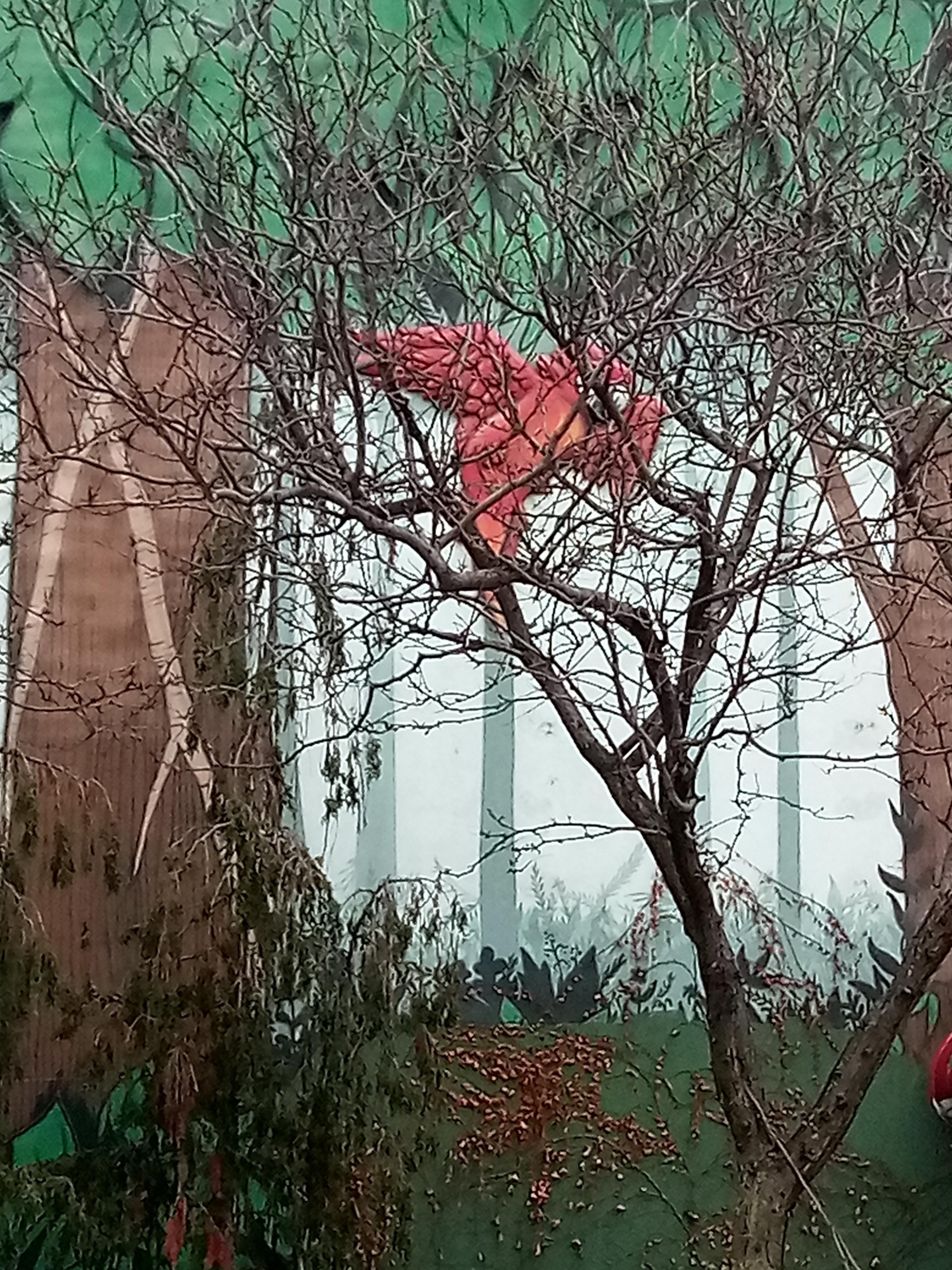 Someone got EXCITED........