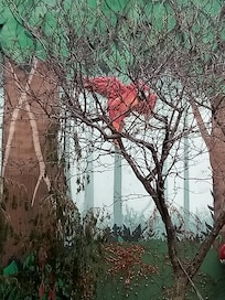 Someone got EXCITED........