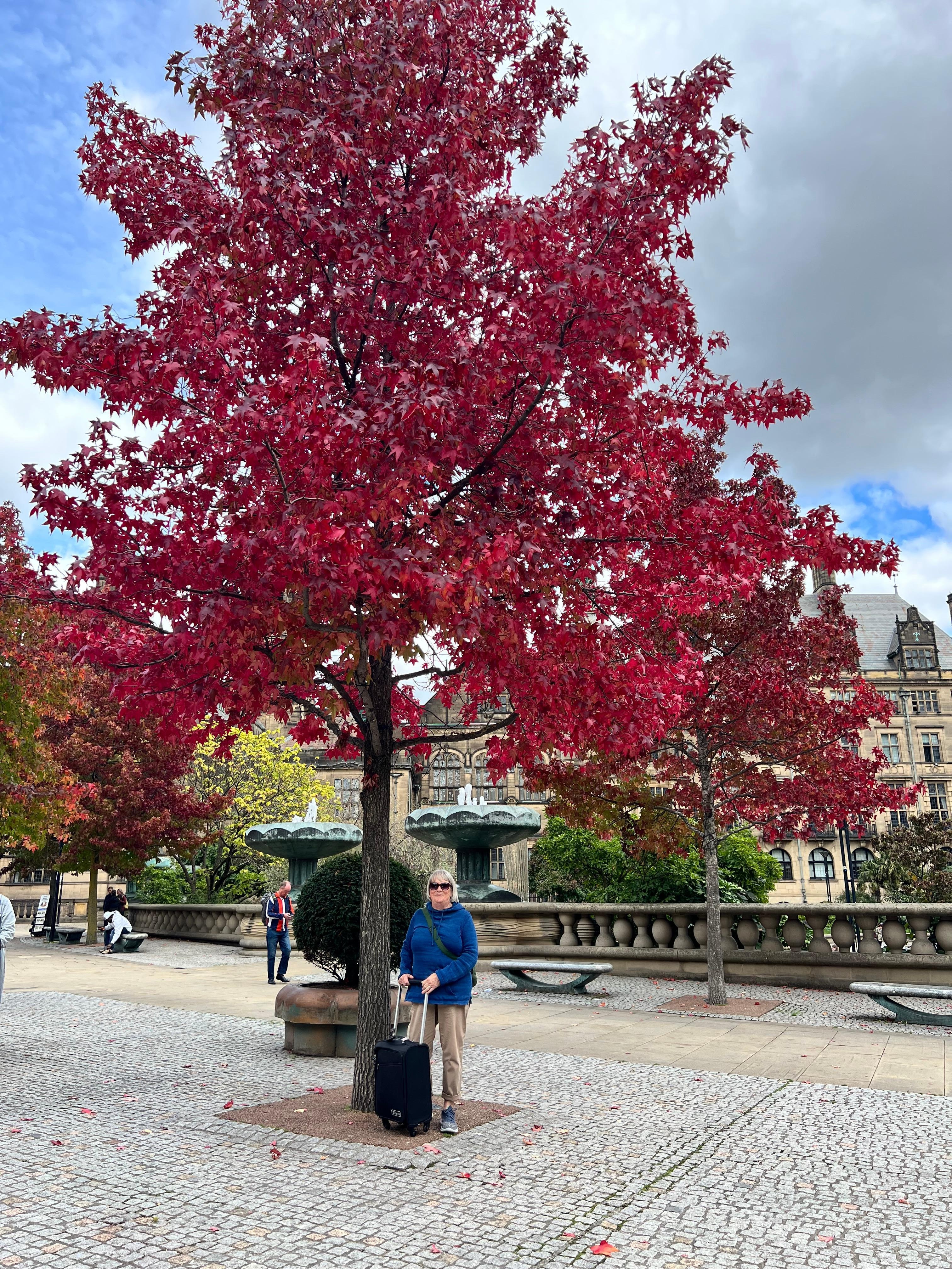 Outside the Peace Gardens 