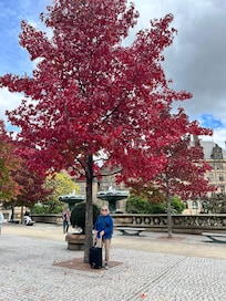 Outside the Peace Gardens