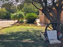 Im Garten
