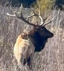 Taking from about 1 mile from the property