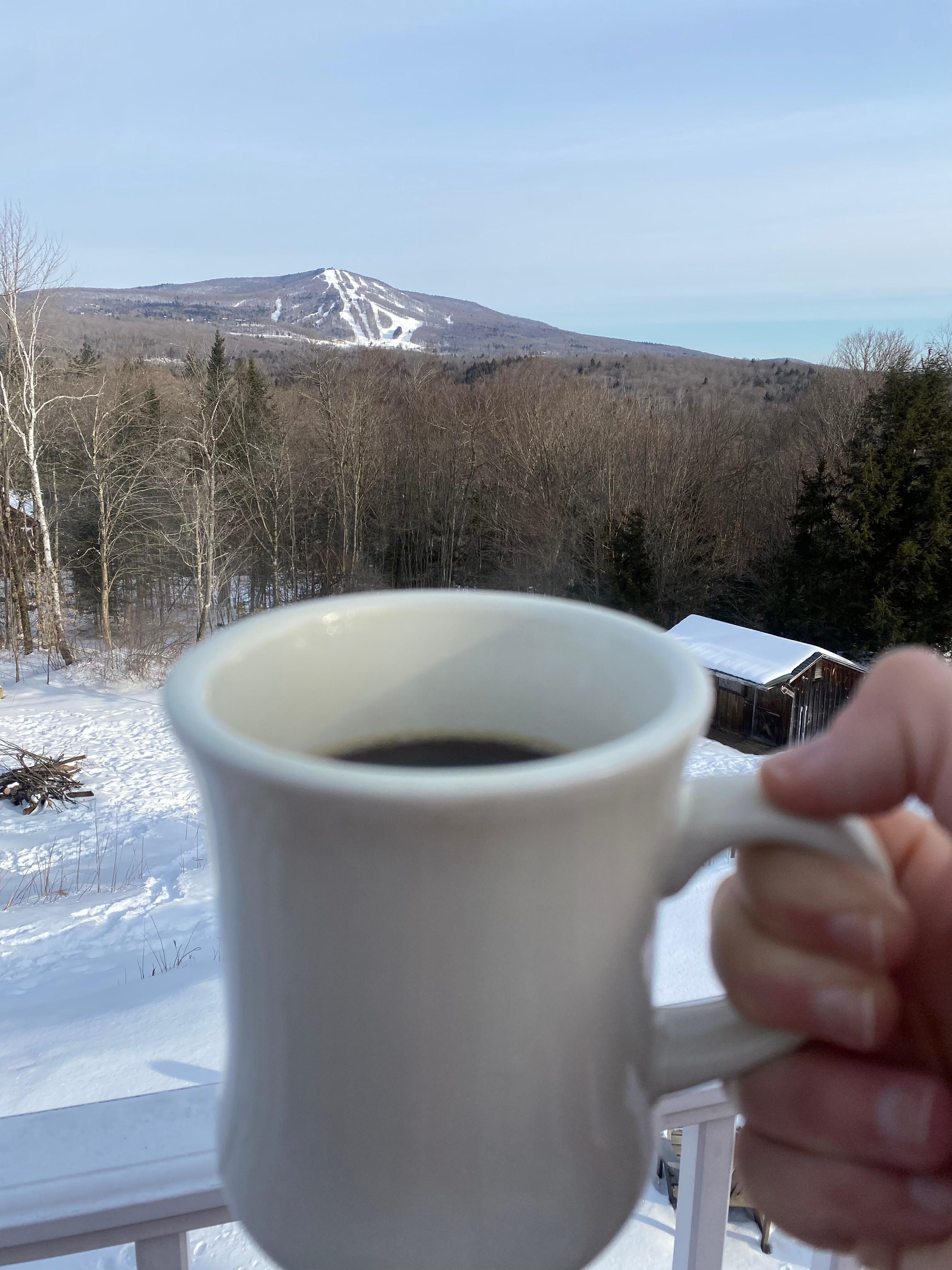 Bromley Mountain Views