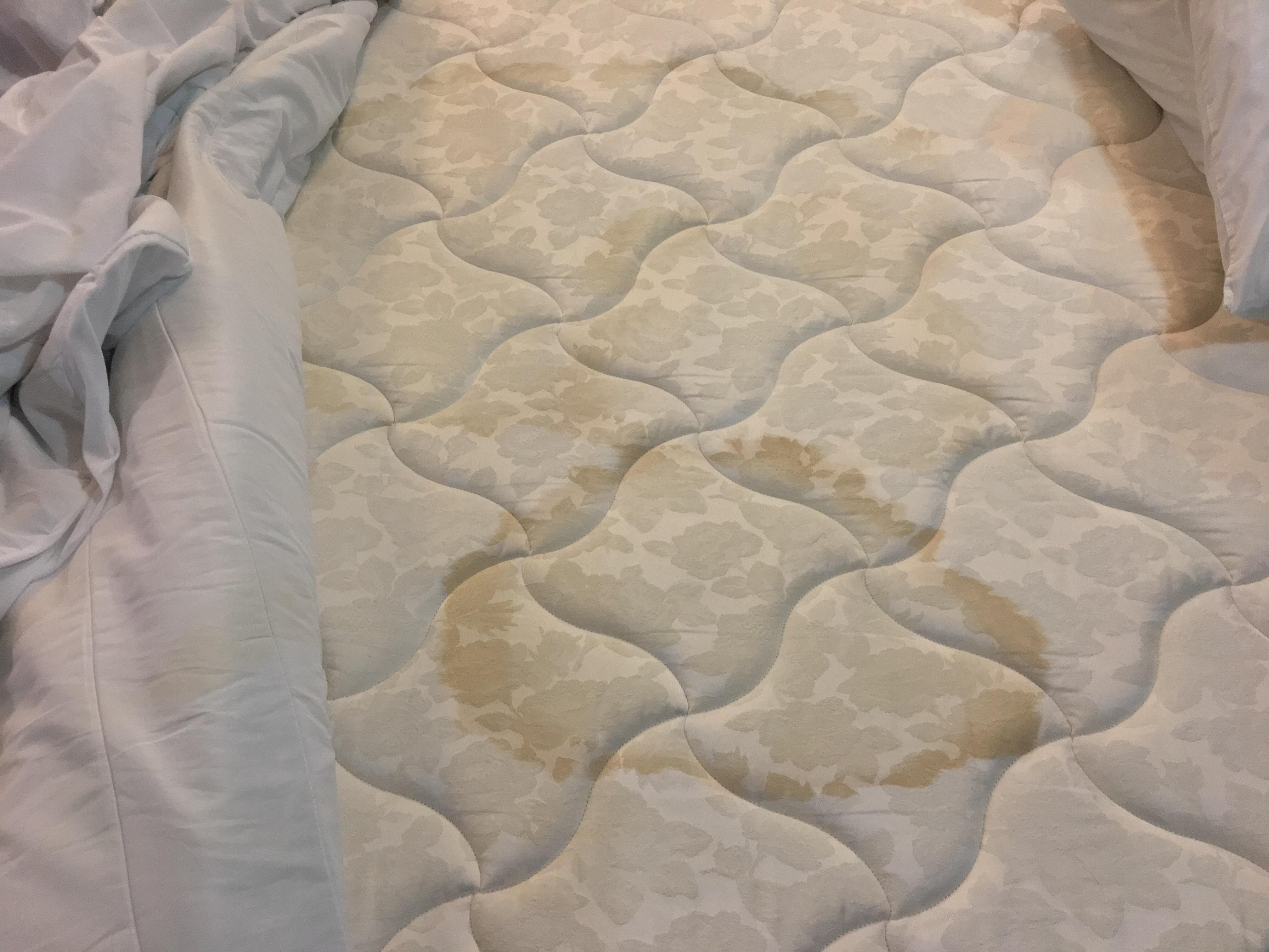 Bed #1