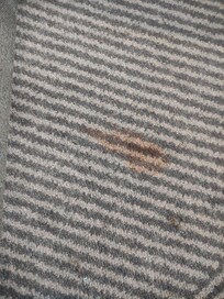 Puke or chilli sauce stain next to bed (take your pick)