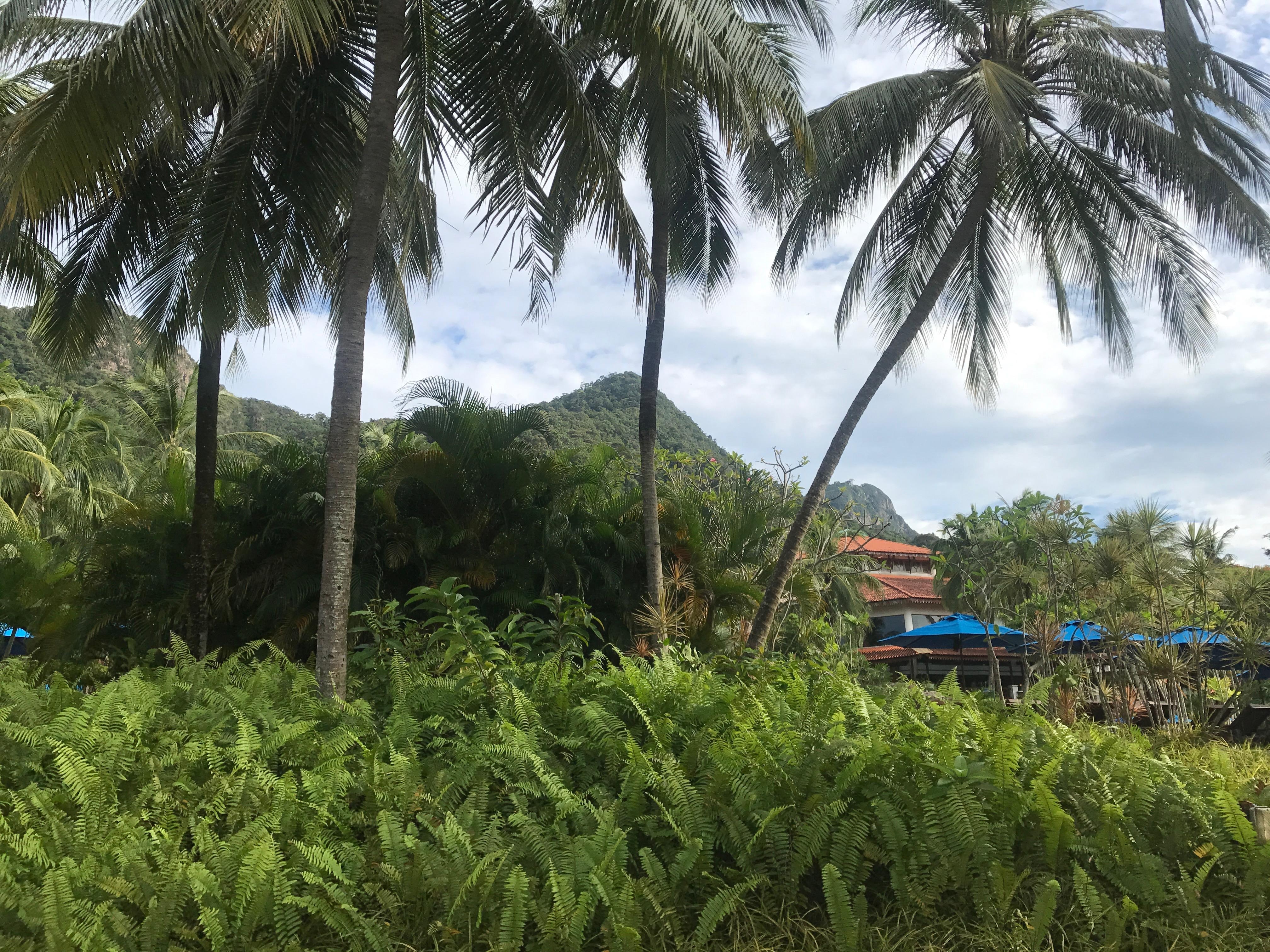 Near the pool