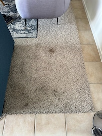 Carpet stains