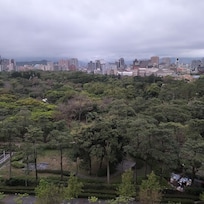 The view from my window