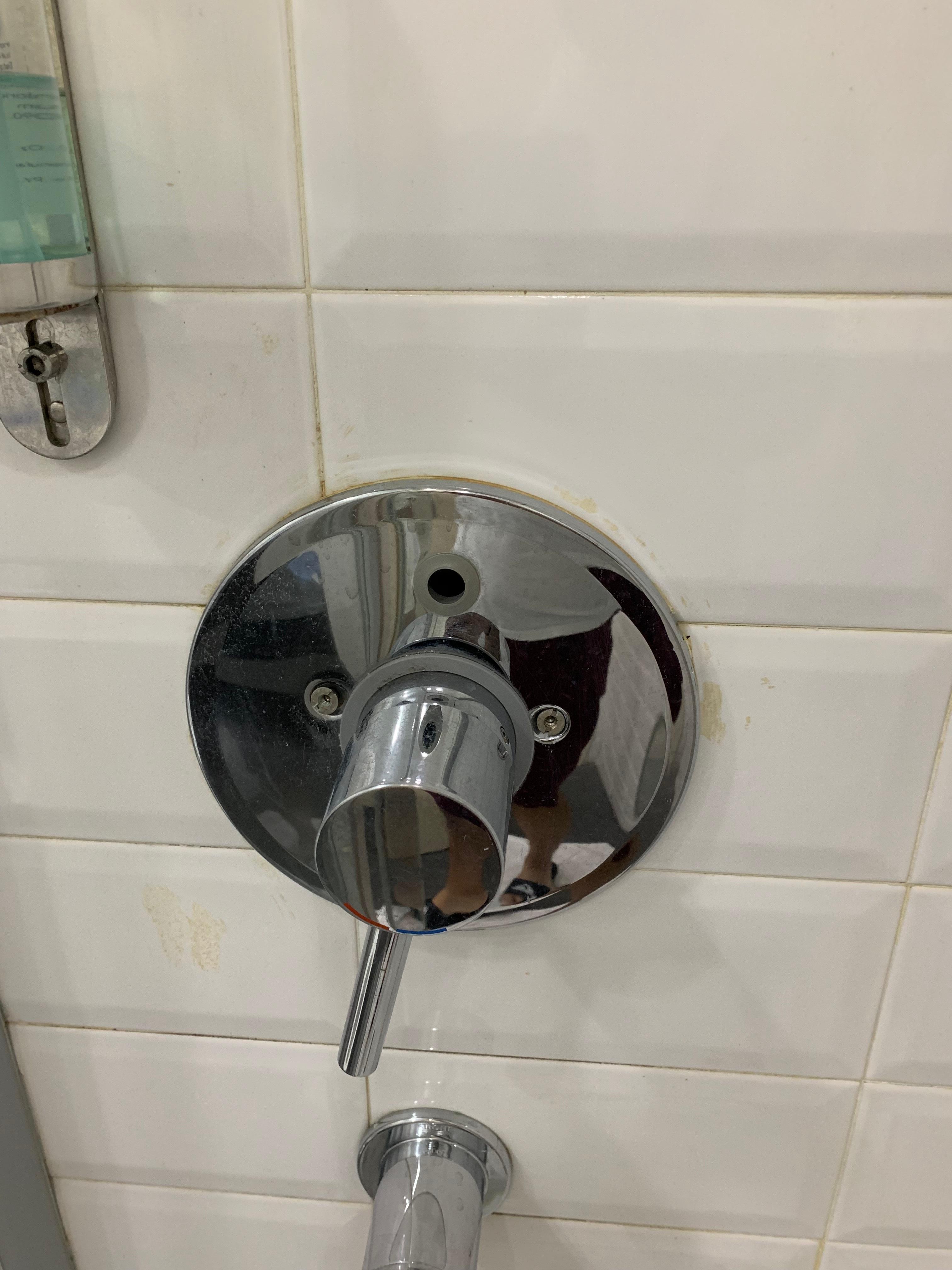 Broken shower (both handheld and shower head emit water)