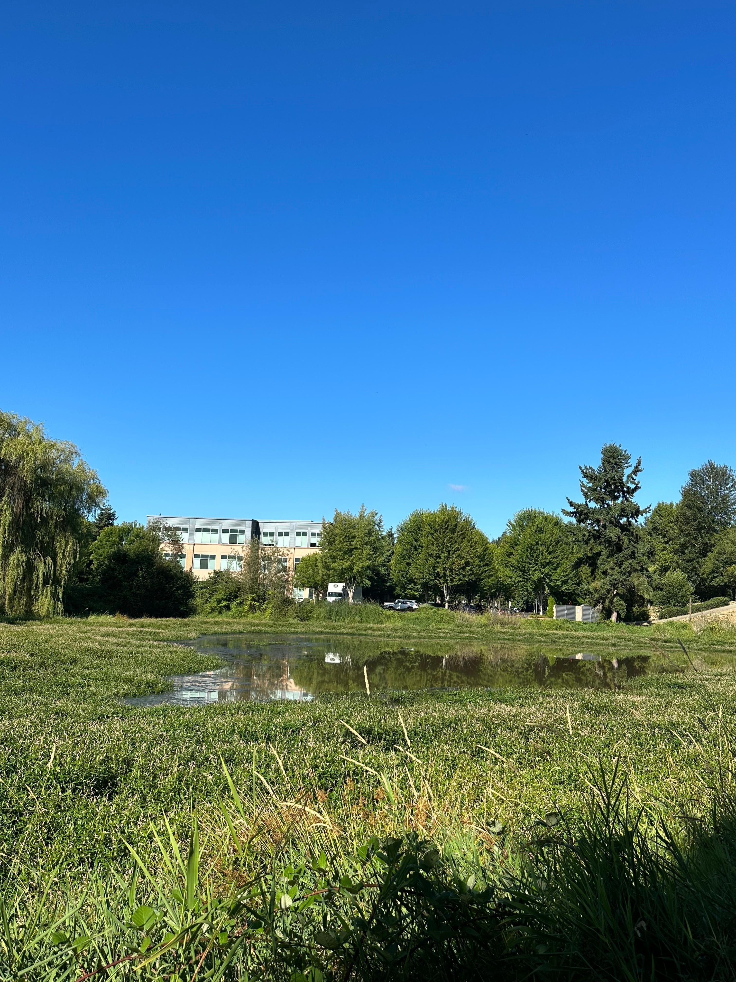 호텔 옆 연못과 주변 사무실