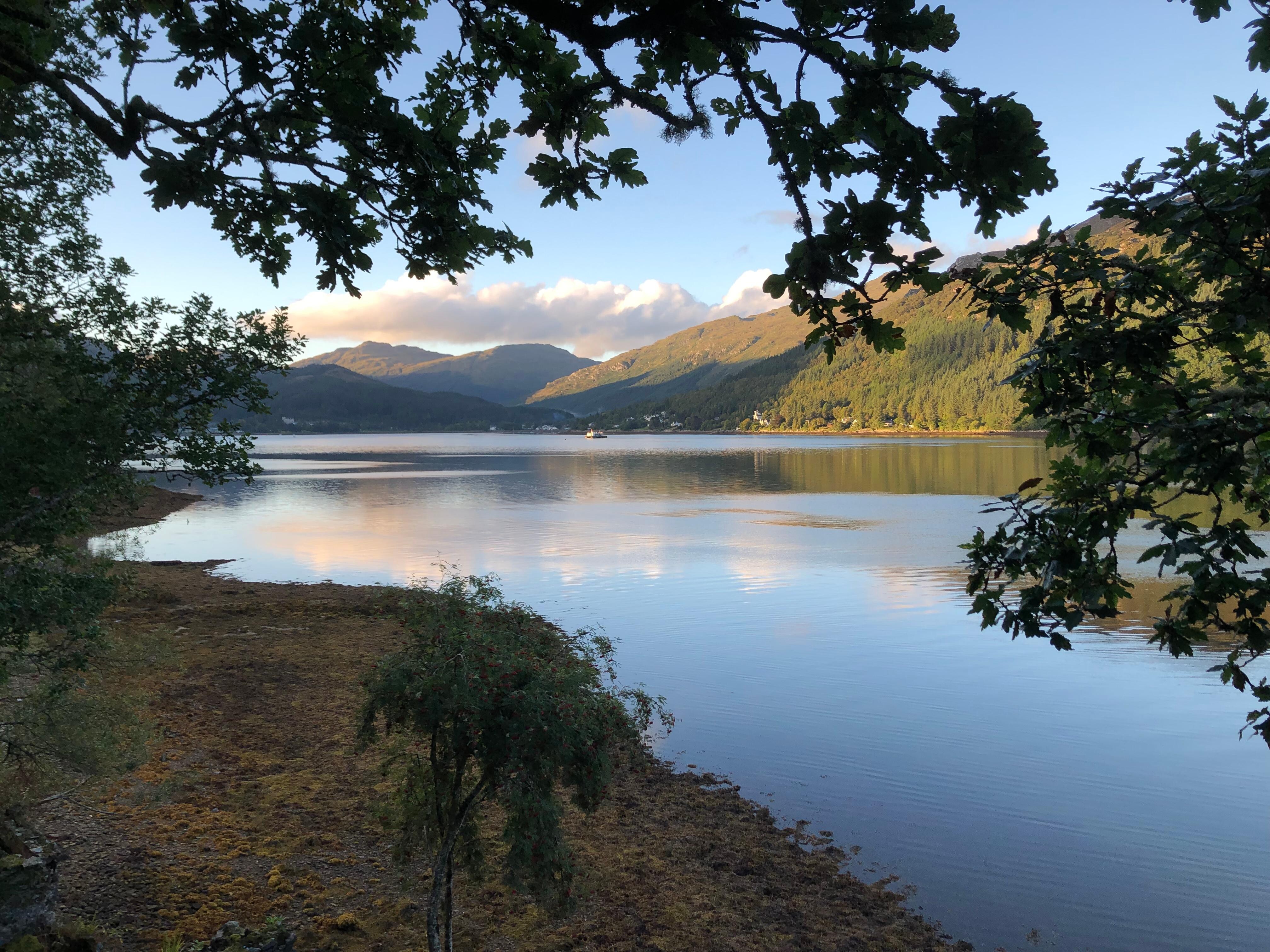 View from the log cabin