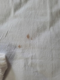 Stains on sheet