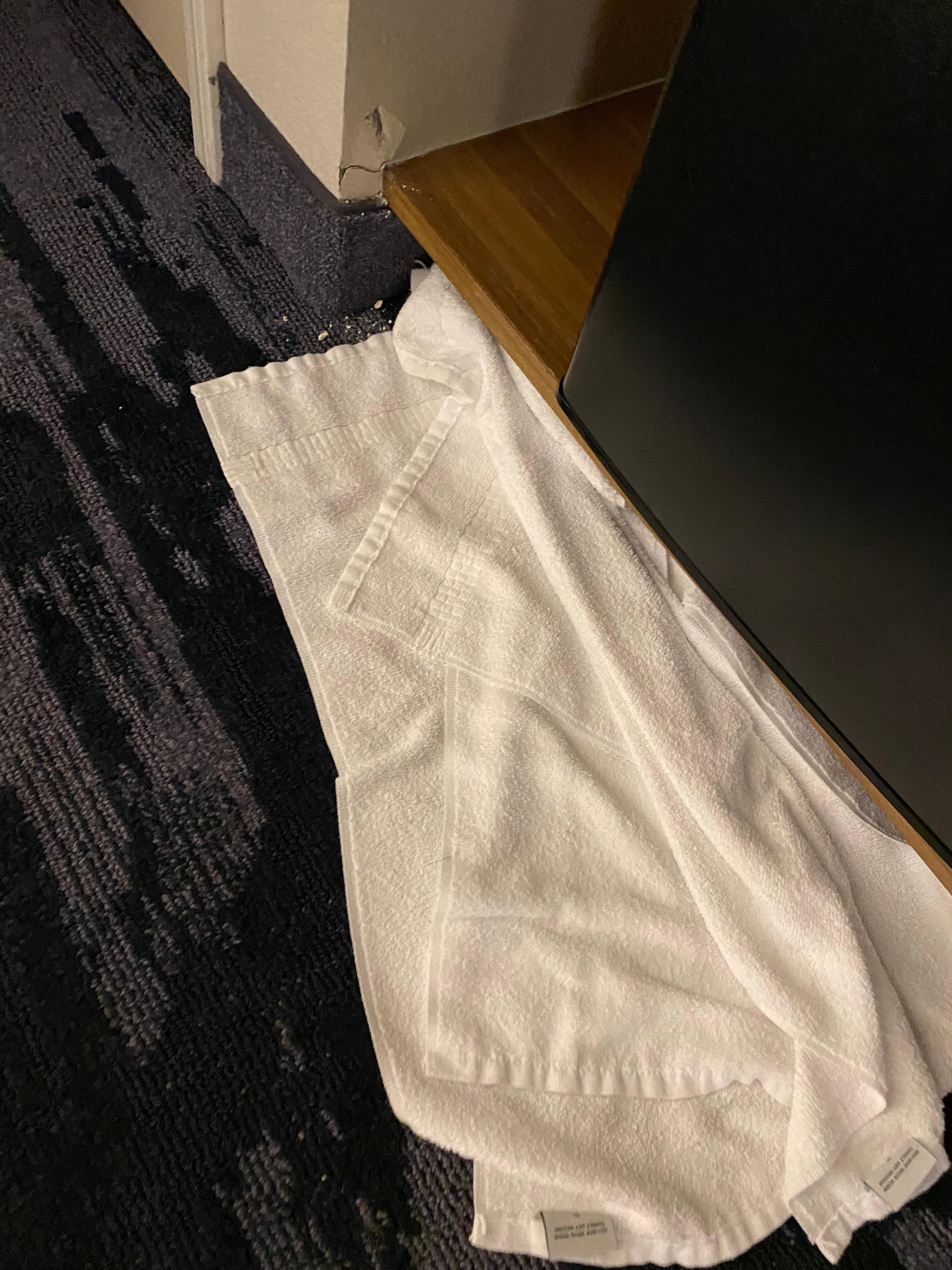 Towels soaking up water left for 3 days.