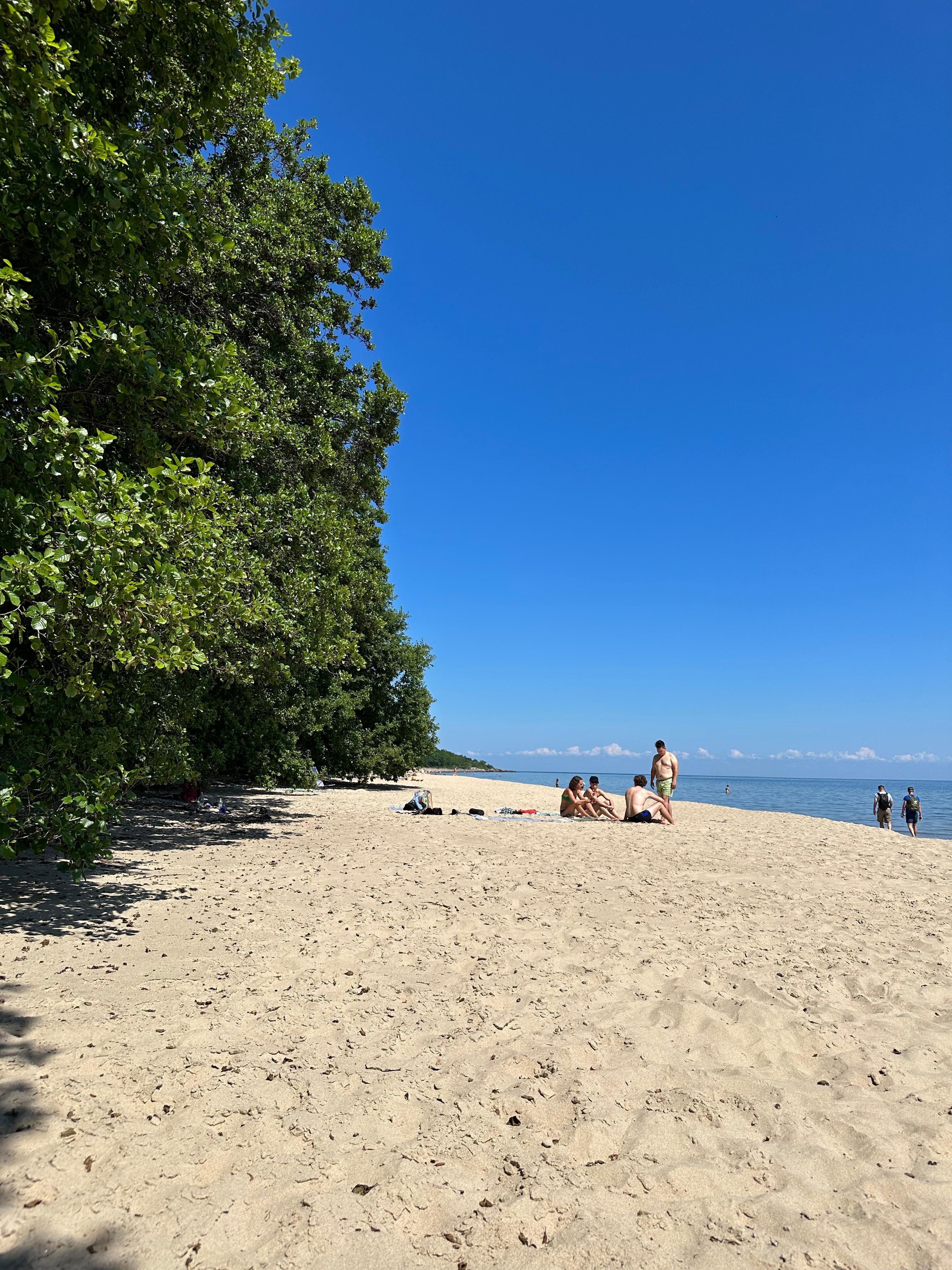 Stranden vid Stens huvud naturreservat 