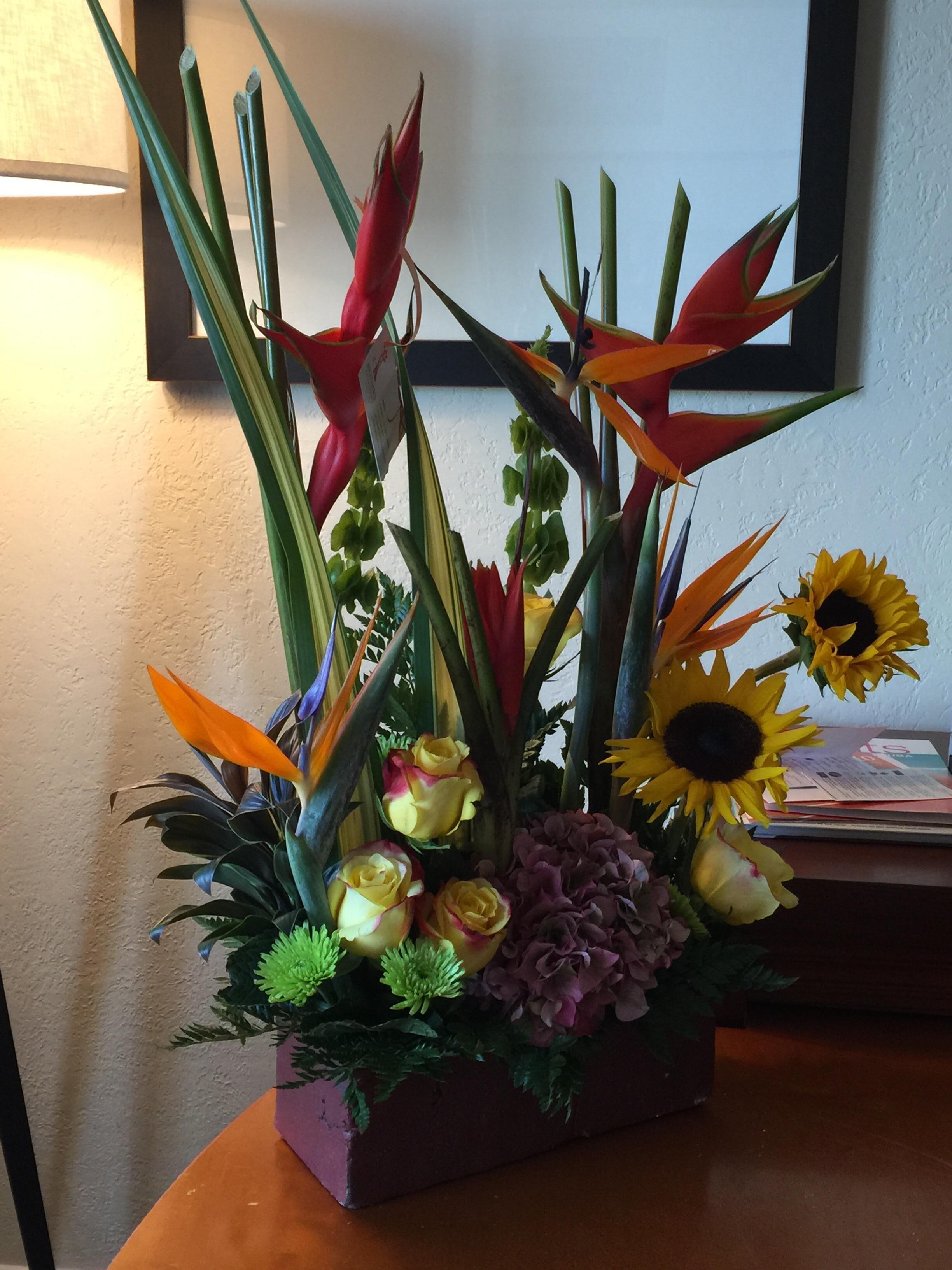 The Hyatt delivered this for my 50th!!!