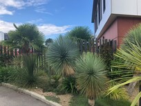Petit Jardin tropical
