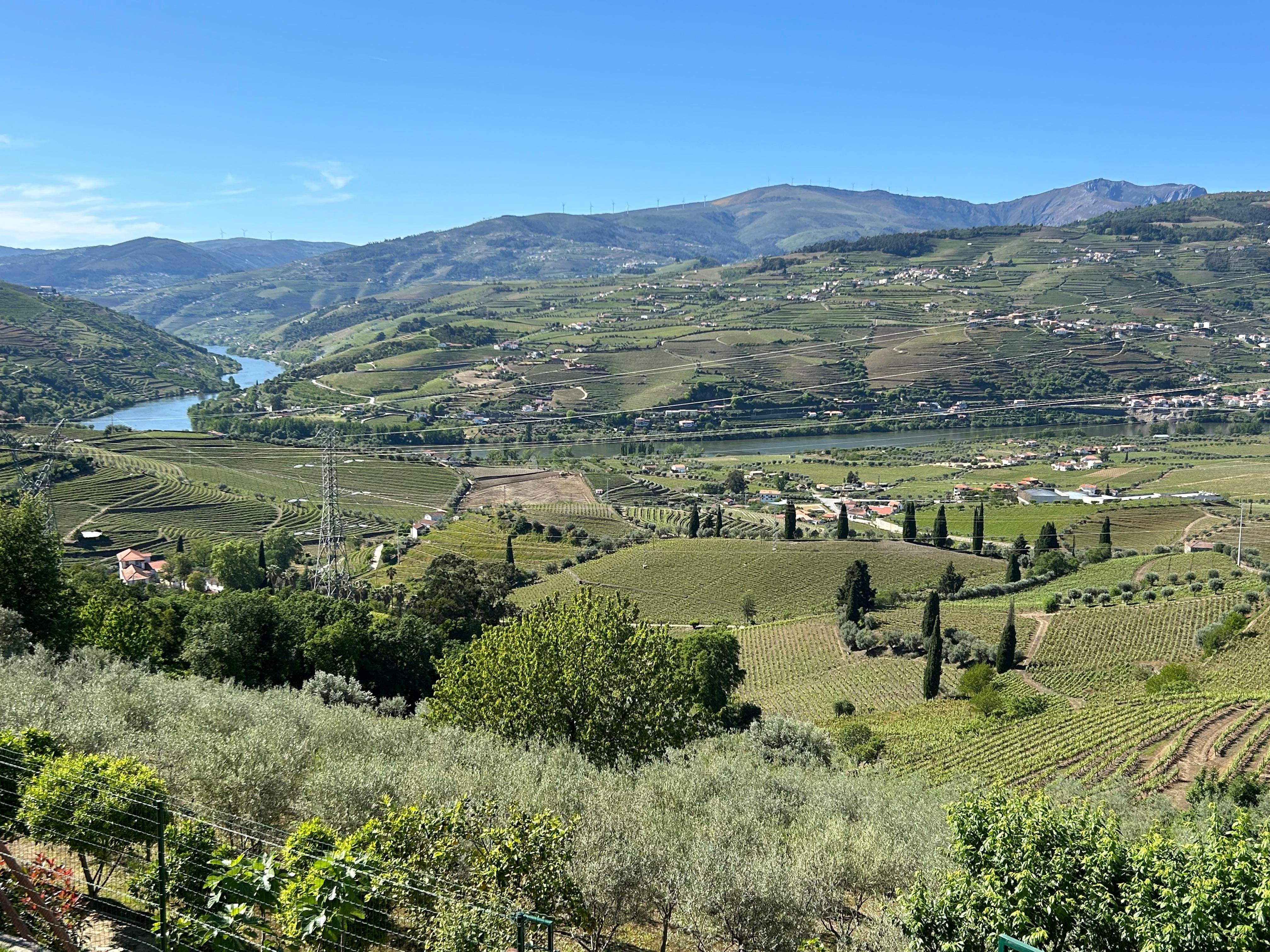 View over Douro Valley from the room