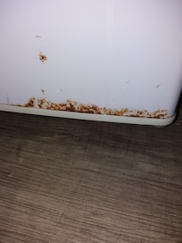 Fridge