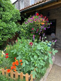Lovely flowers and hanging baskets in the garden area