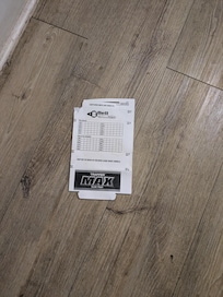 Mouse / insect trap in the middle of the floor