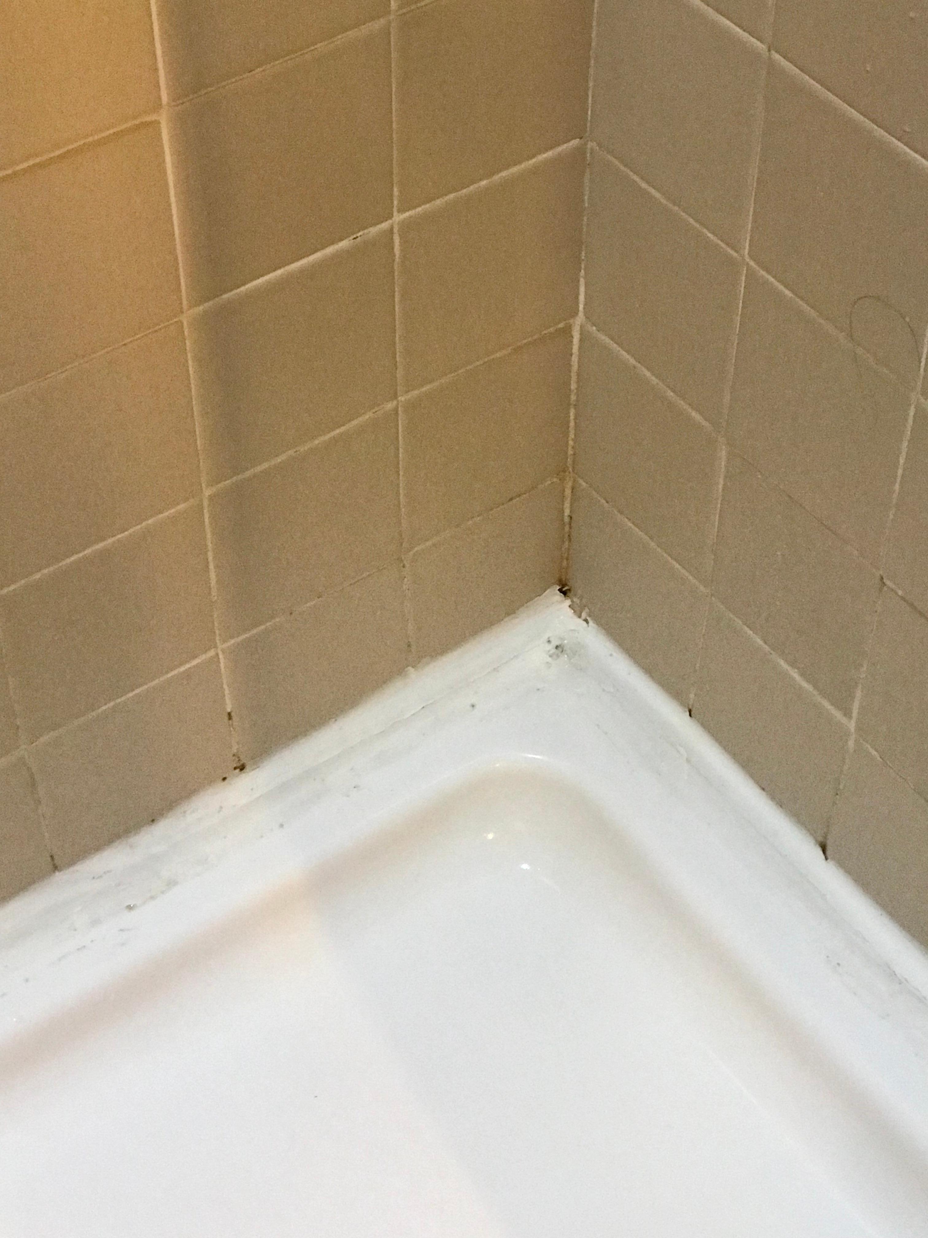 Mold on shower pan