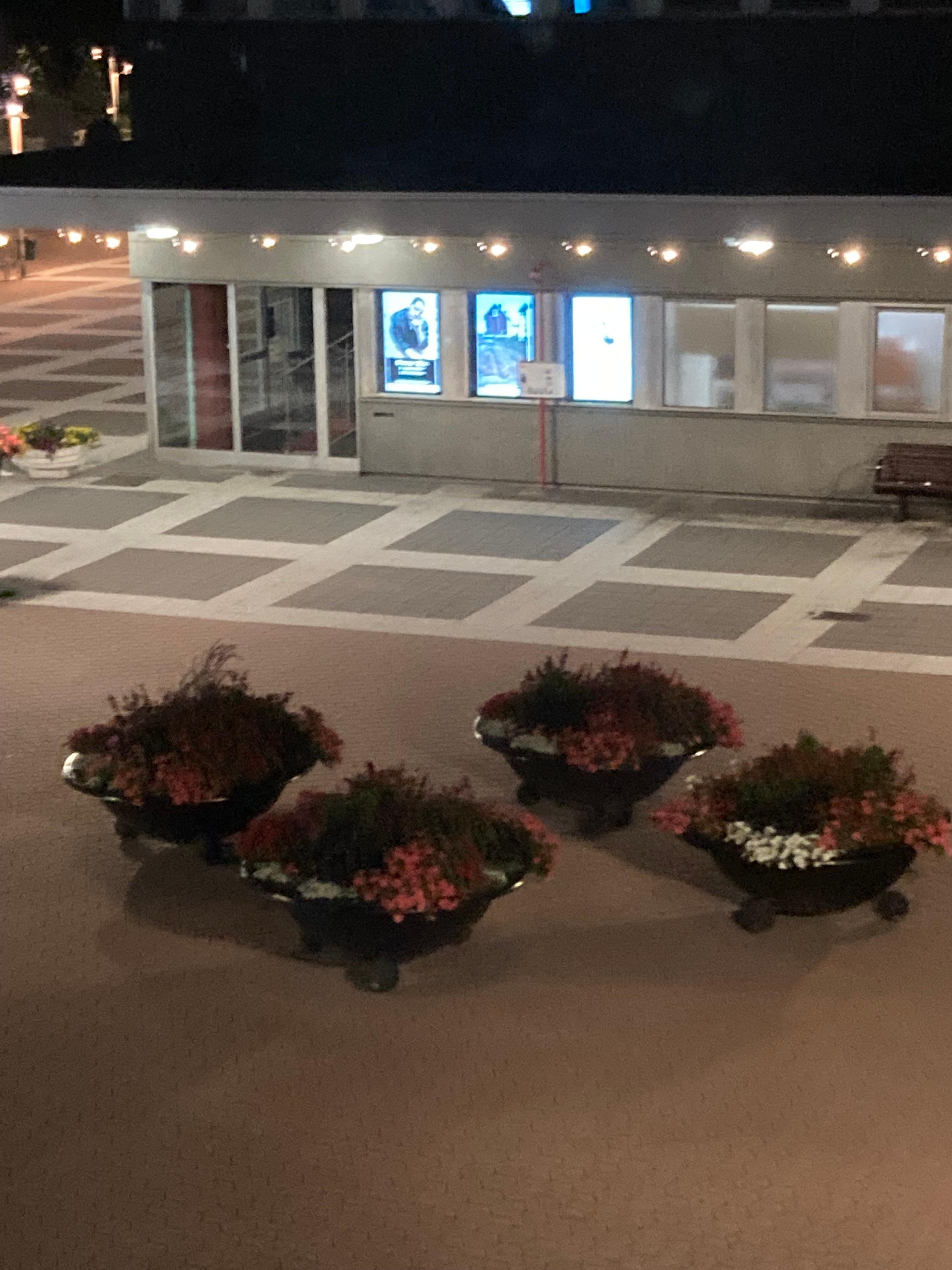 Vy ner över torget med många fina blomsterarrangemang 