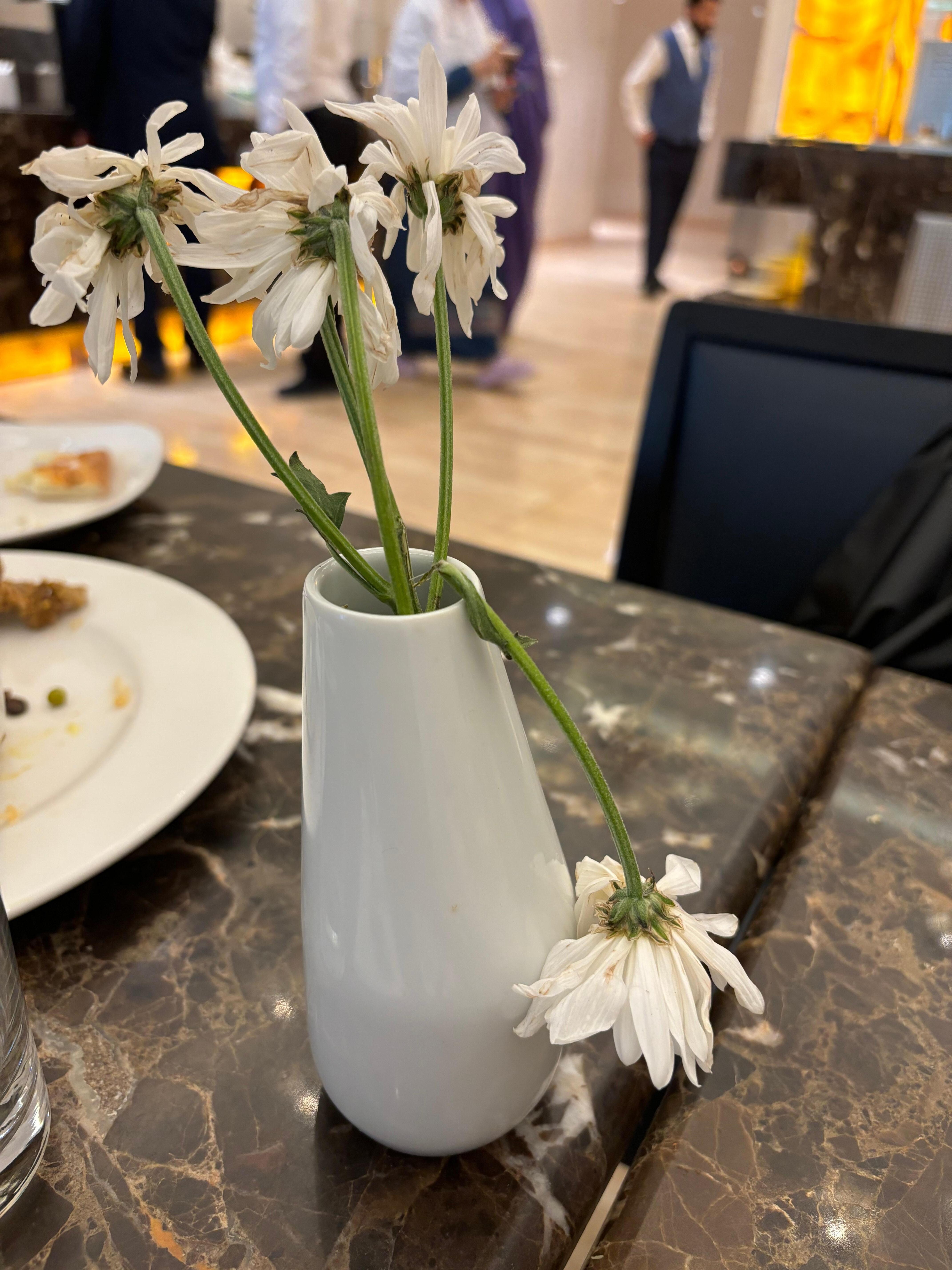 Old flower