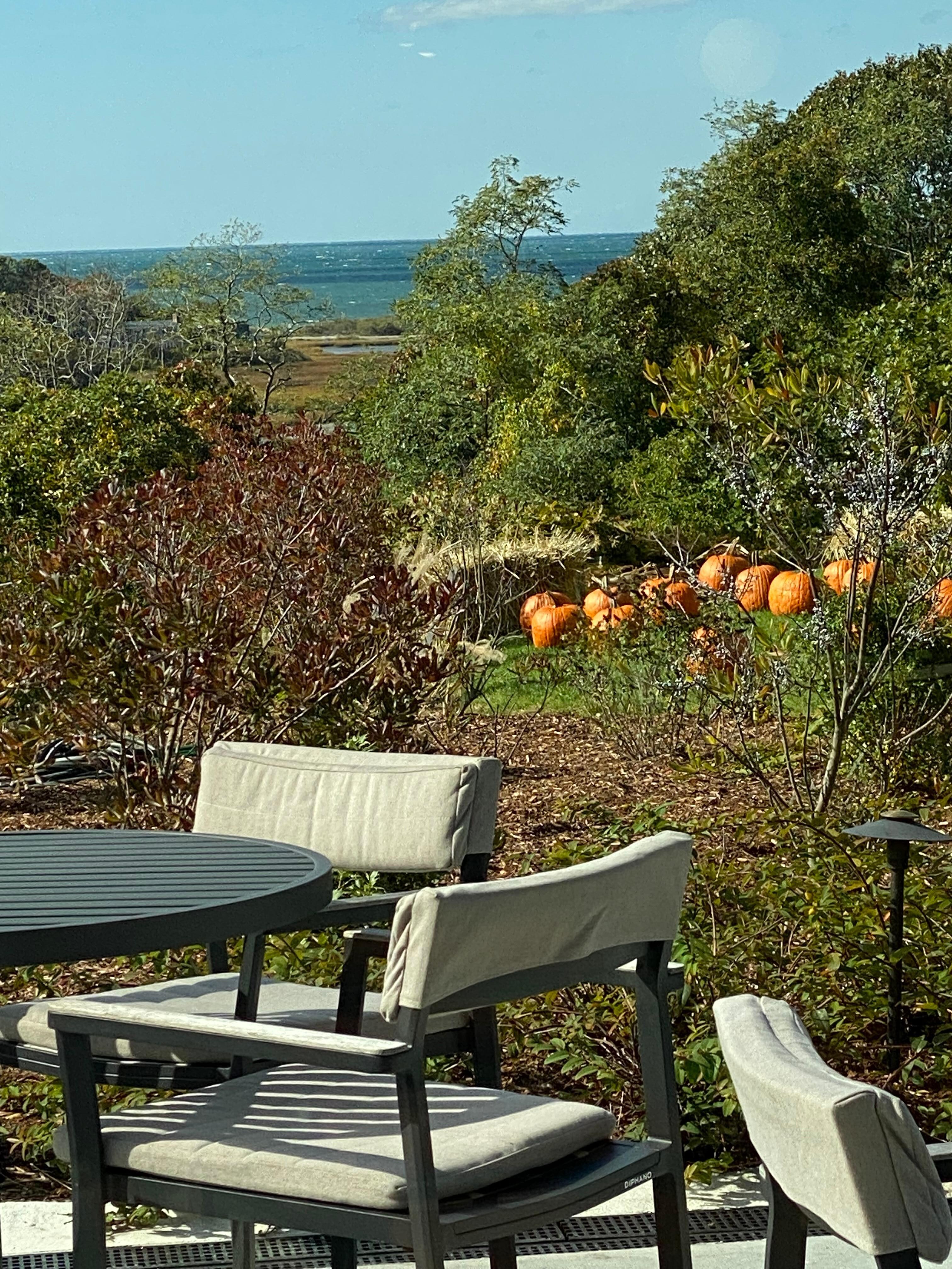View from the clubhouse