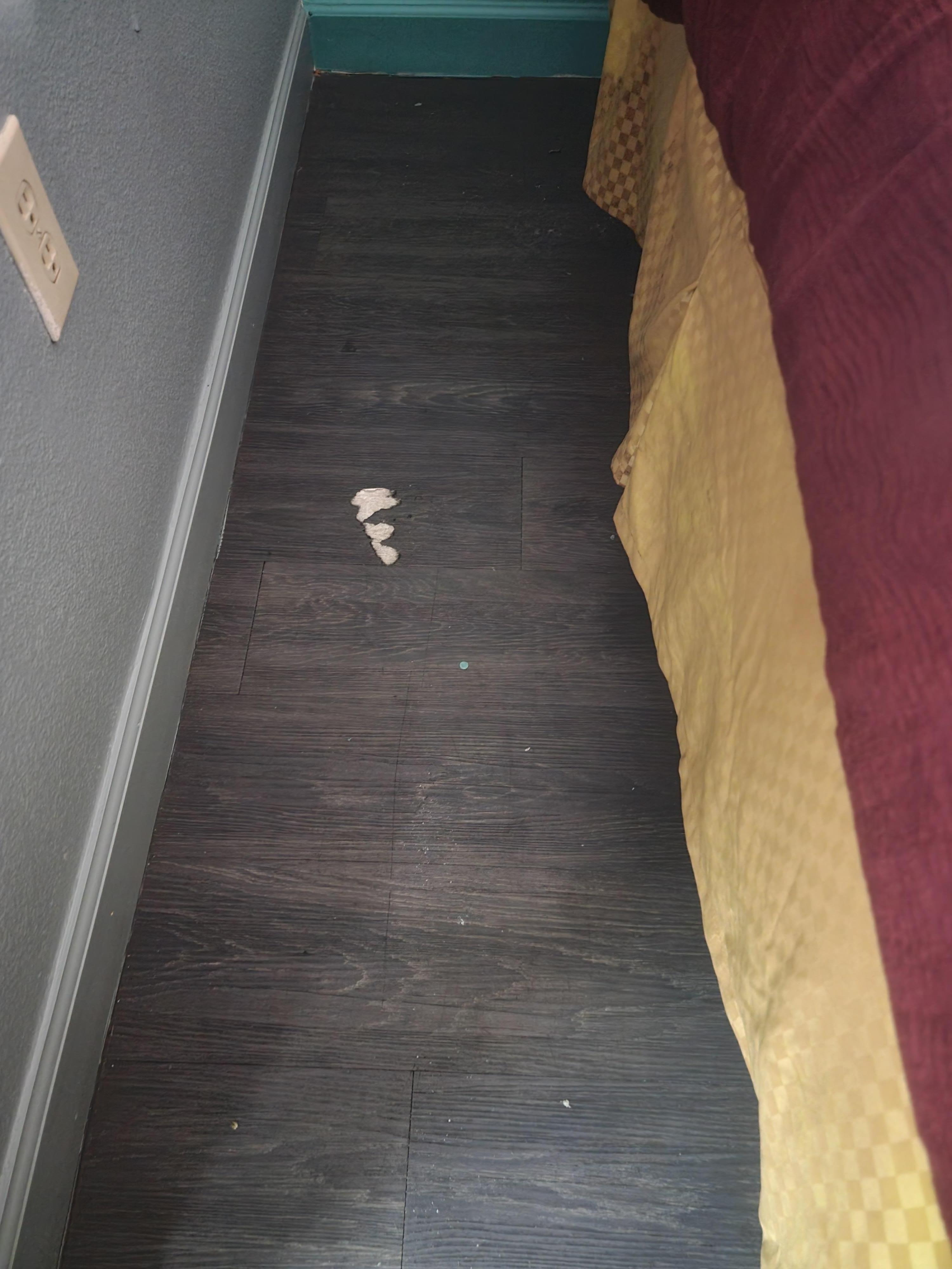 Loved the floor