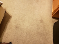 Dirty carpet