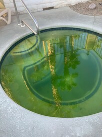 Denne tror jeg absolut ingen ville bade i. Den er jo sundhedsskadelig og burde tømmes og desinficeres. Ser så ulækkert ud.