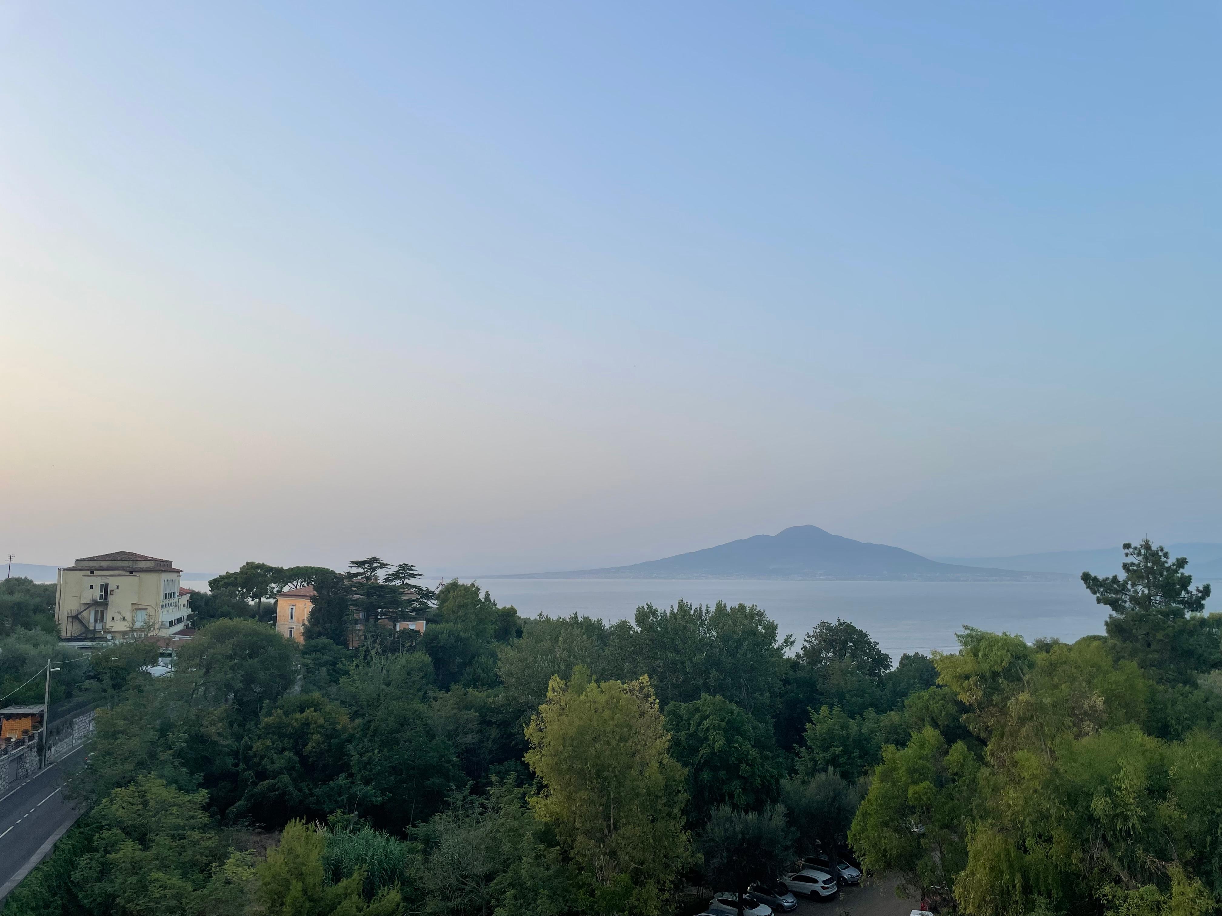 View from the roof