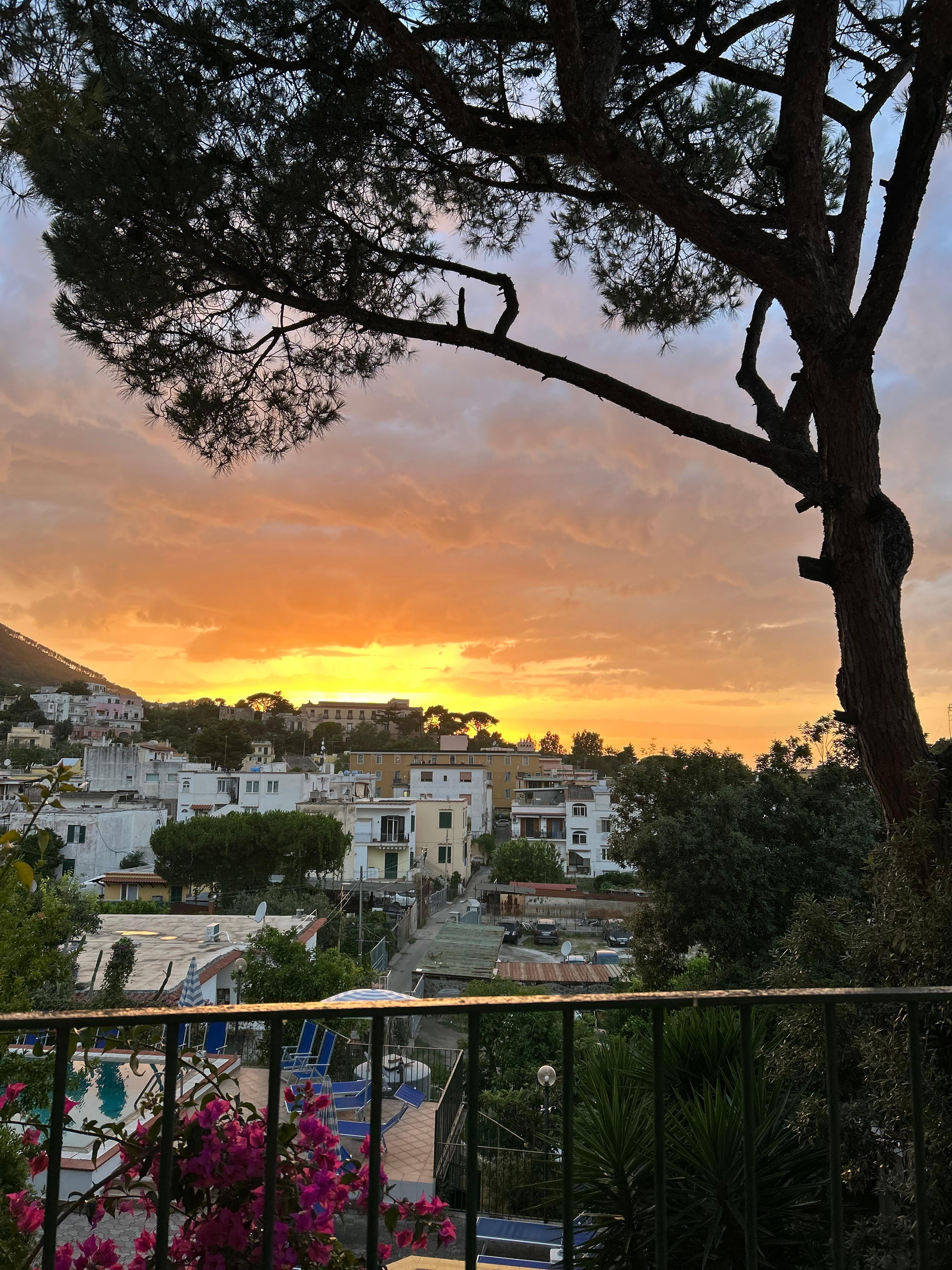 View from terrace