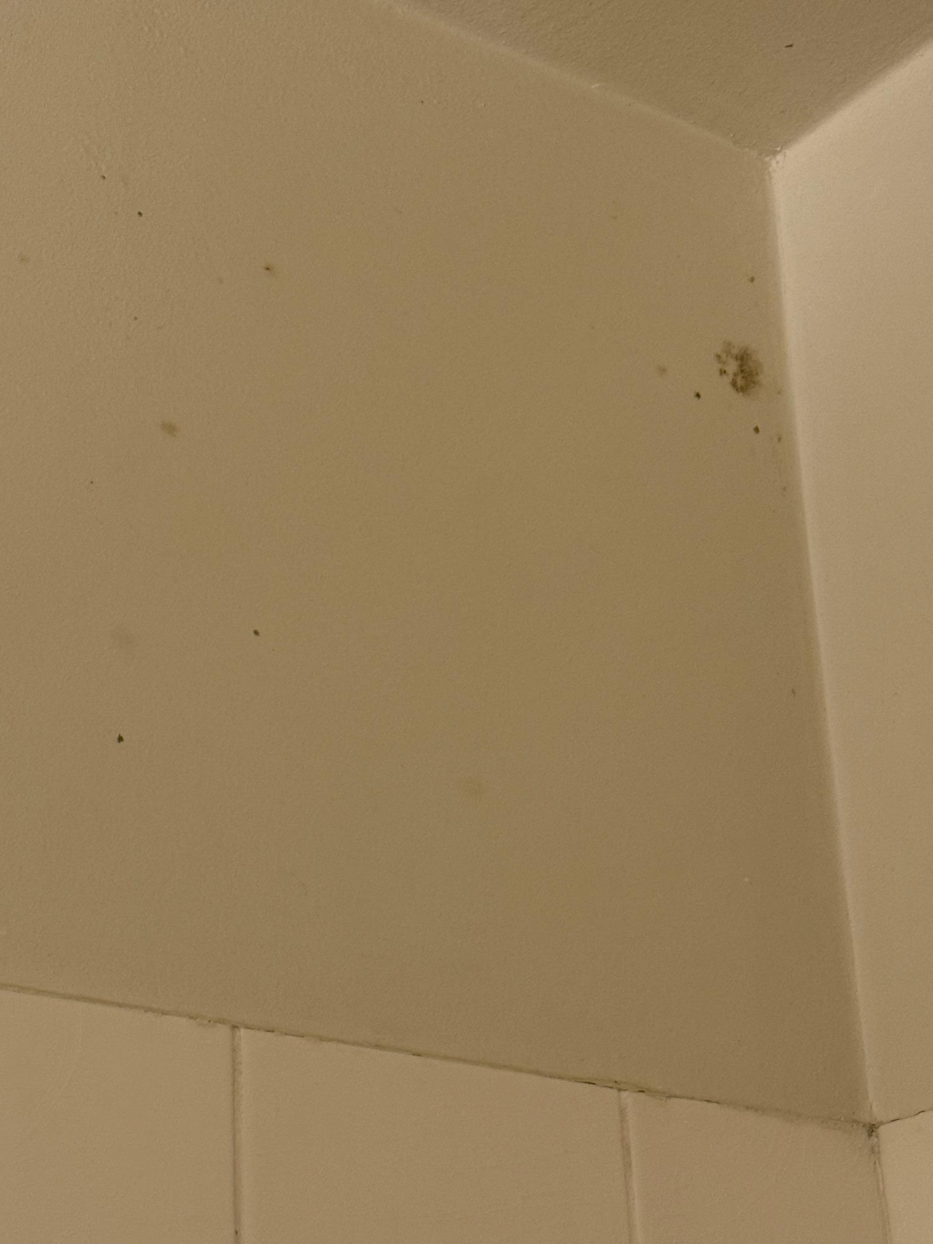 Mold in bathroom