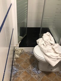 Na falta de toalhas, tive que secar com papel higiênico