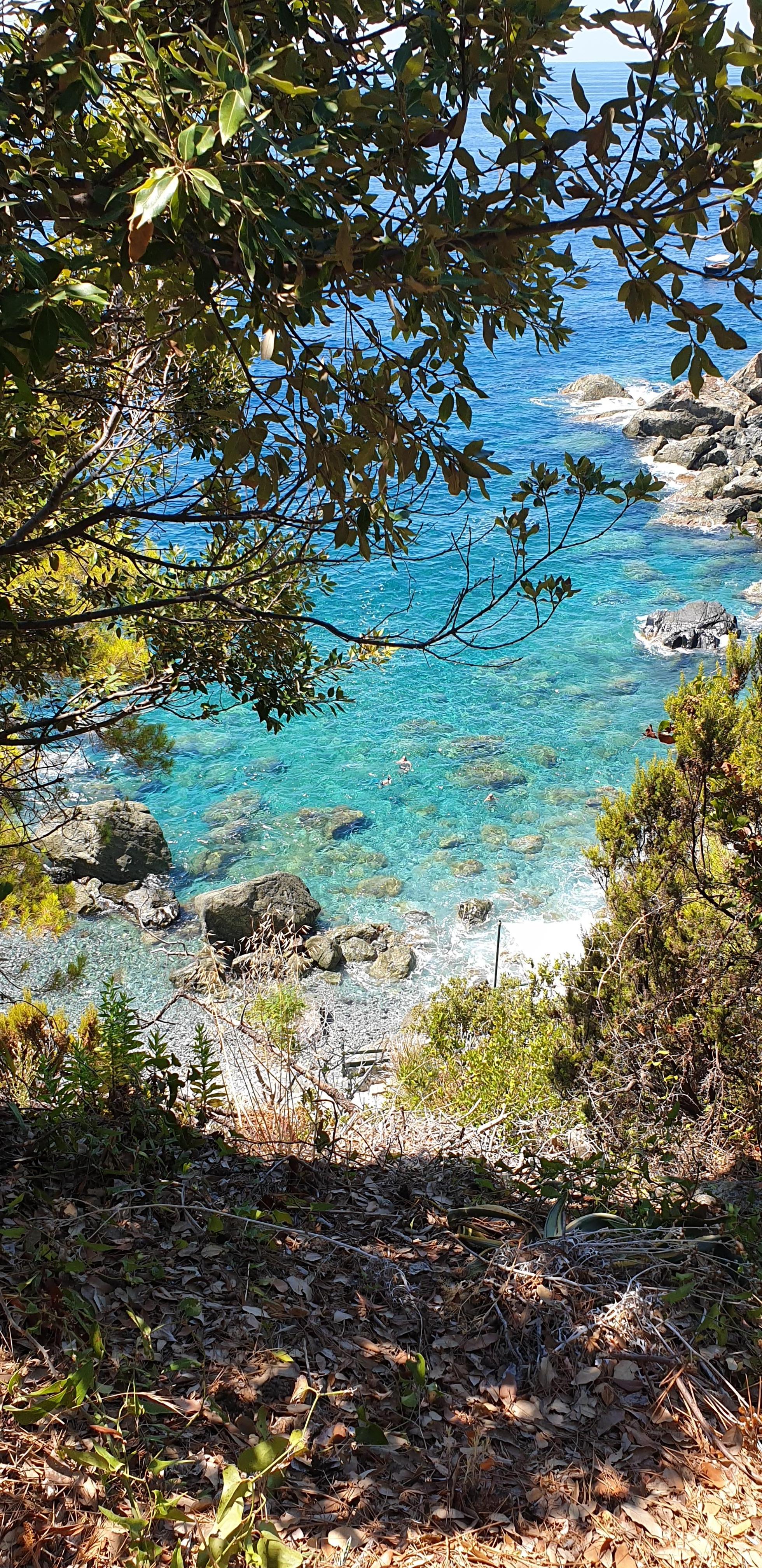 Petite crique : baignade palme et tuba : jolis petits poissons noirs bleus jaunes autour des rochers à 5/8 m de la plage. Des galets pointus...prévoir chaussons