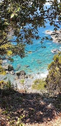 Petite crique : baignade palme et tuba : jolis petits poissons noirs bleus jaunes autour des rochers à 5/8 m de la plage. Des galets pointus...prévoir chaussons
