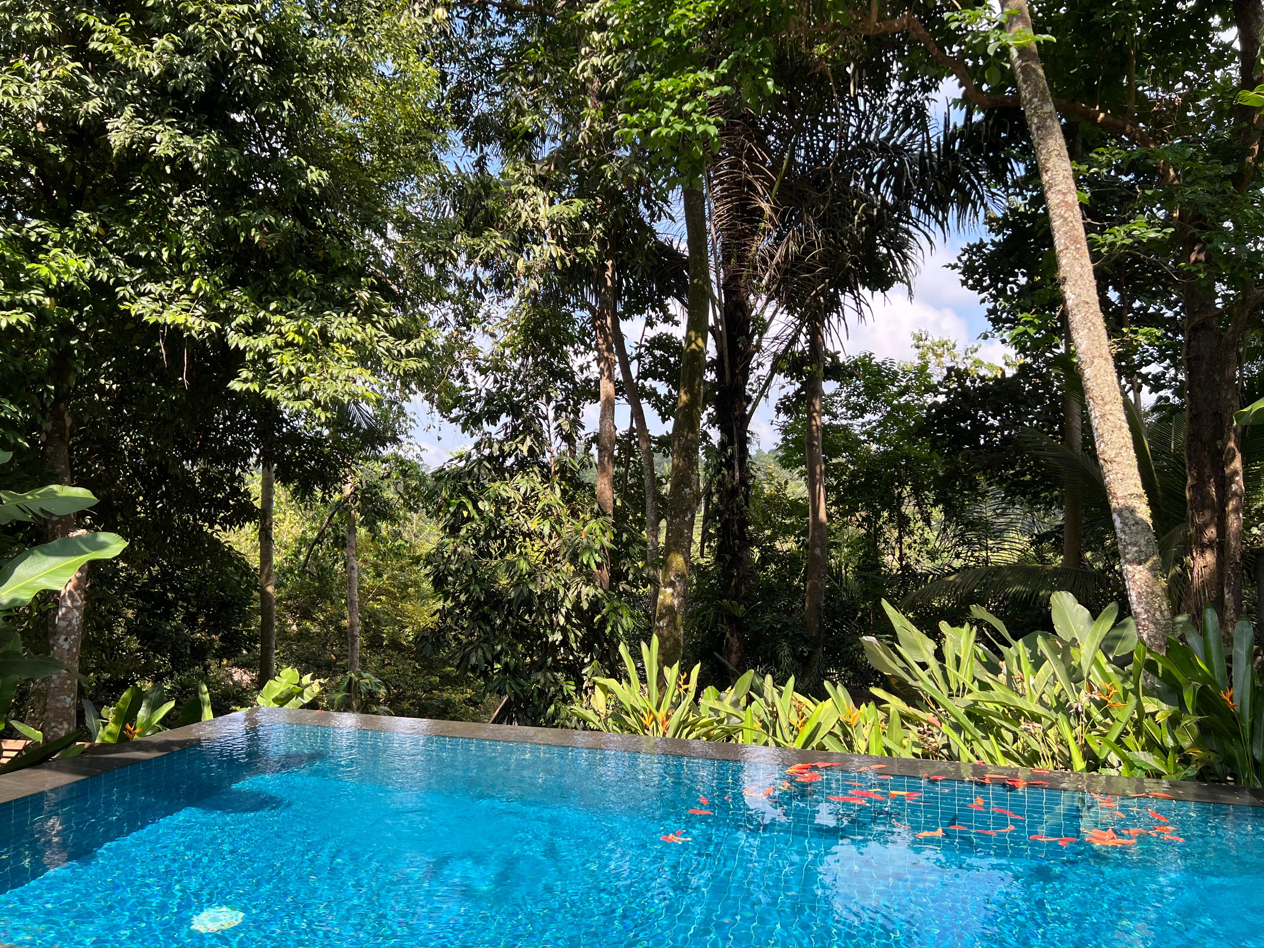 The private pool and view from our villa