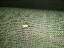Cigarette burn on the sofa