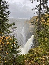 Hällingsåfallet