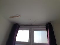 A bit of flaking paint (not really a problem)