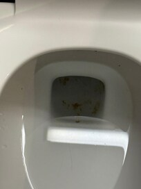 Le fond des toilettes jamais nettoyé !!