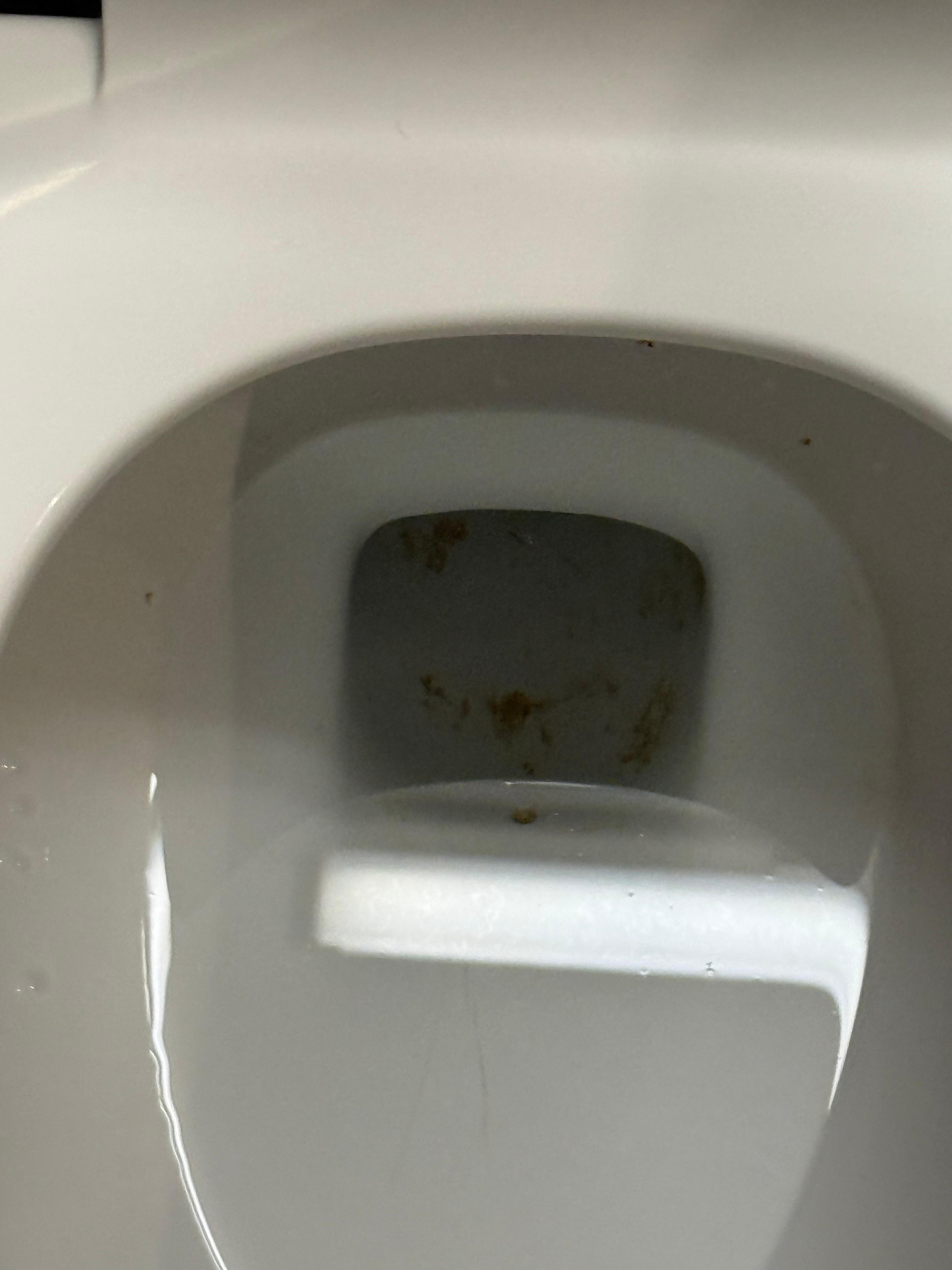 Le fond des toilettes jamais nettoyé !!