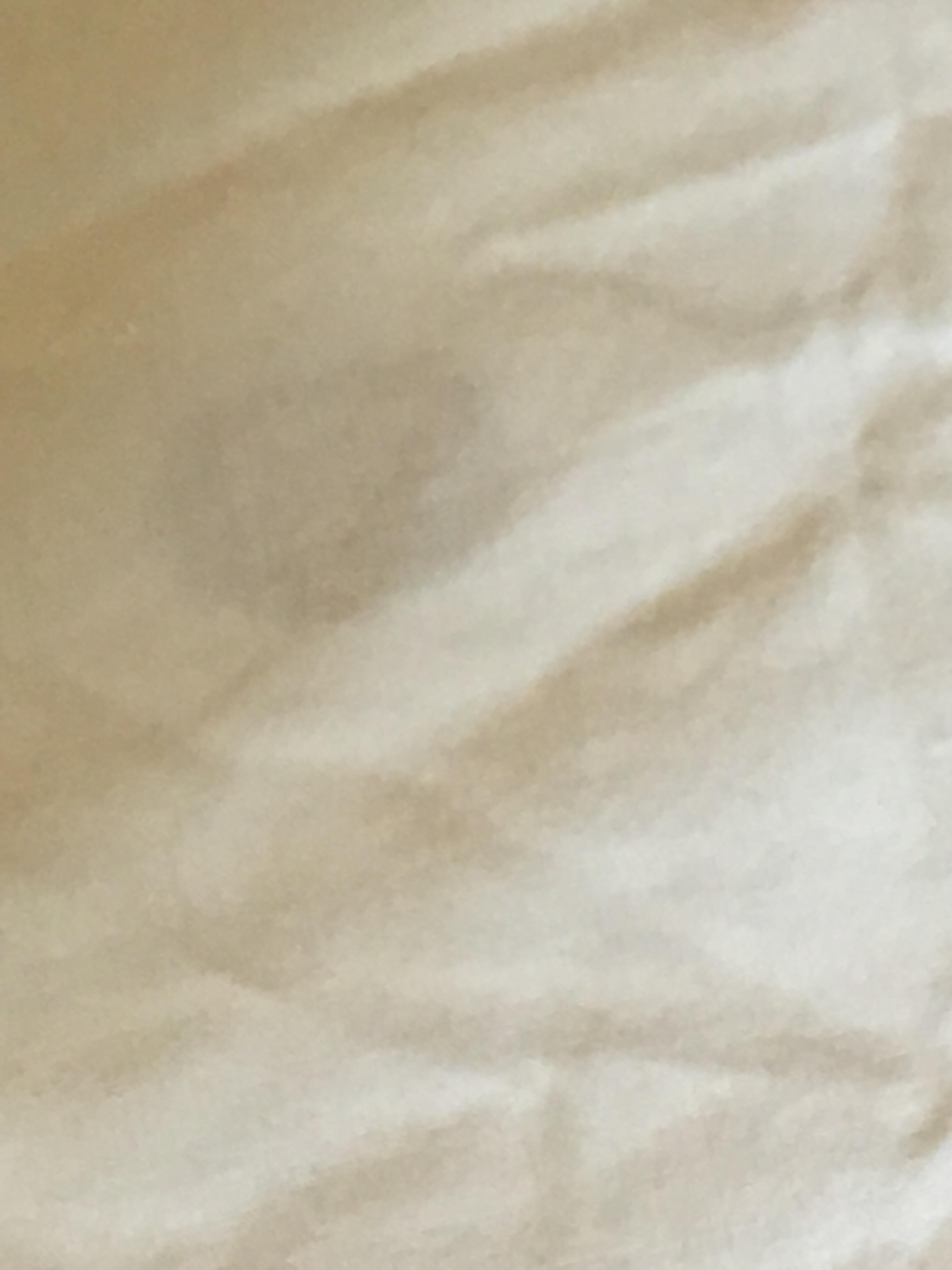 Stains on other bed